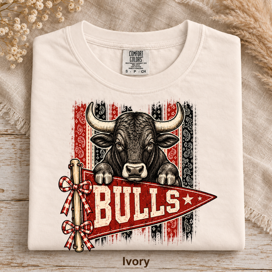 Bulls Pennant