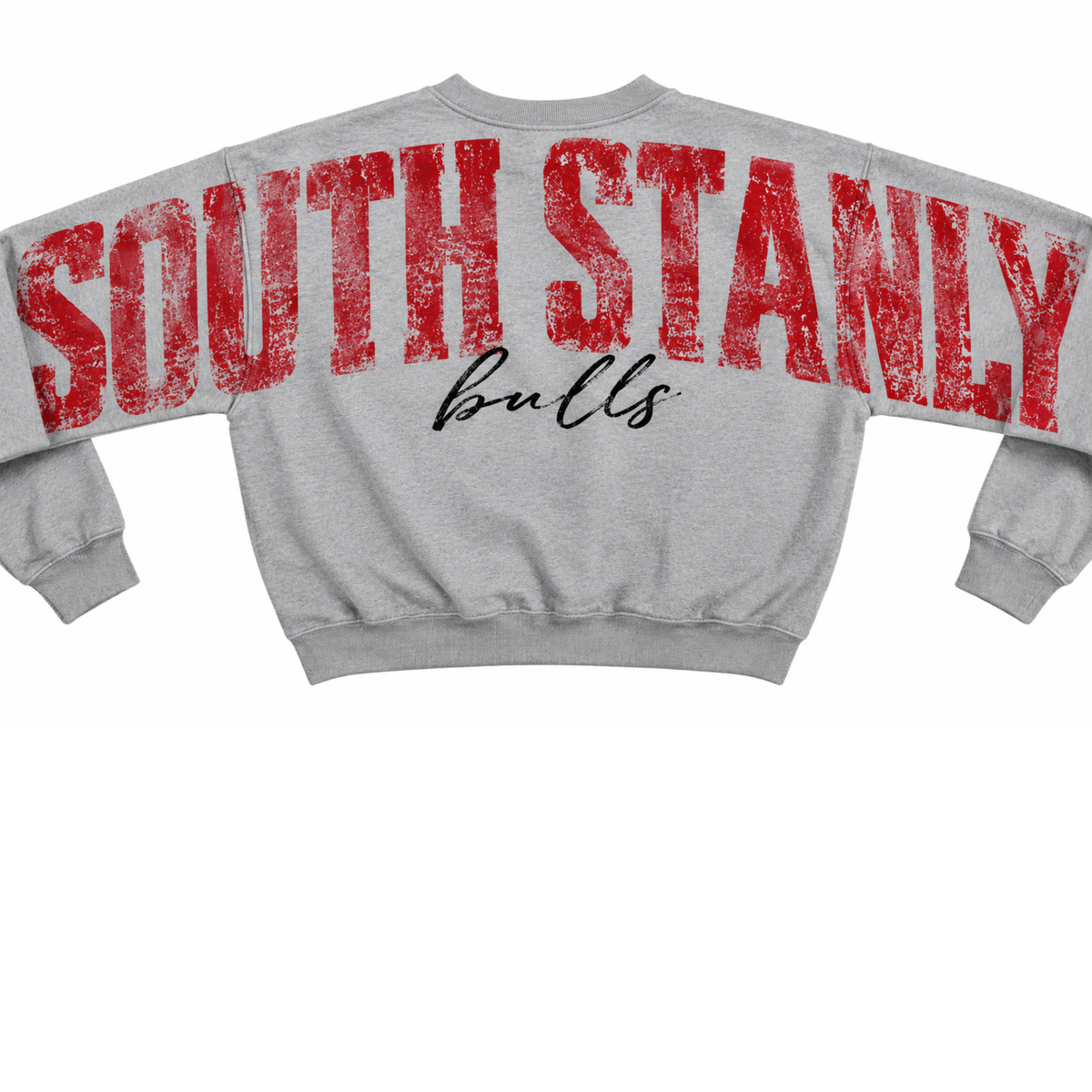 South Stanly Bulls