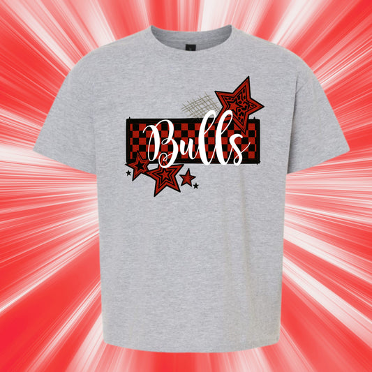 South Stanly Bulls - no sports